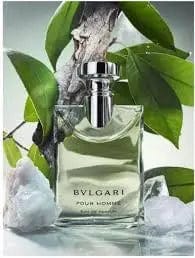 Bvlgari Pour Homme par Bvlgari pour homme, vaporisateur eau de parfum 100 ml